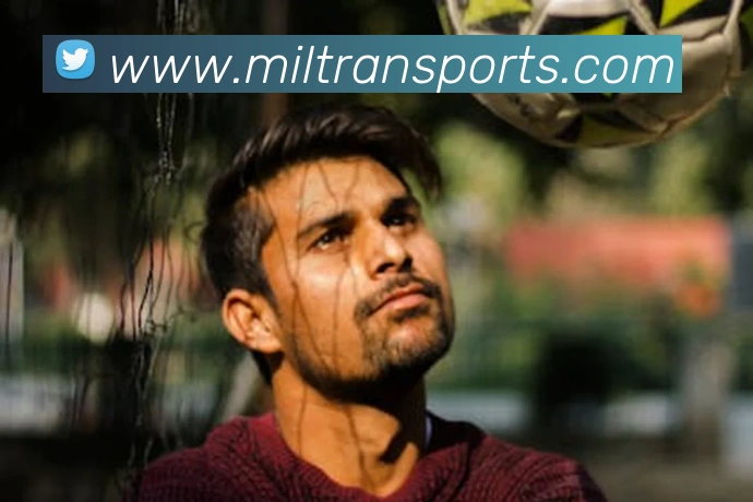 球赛投注平台生态图